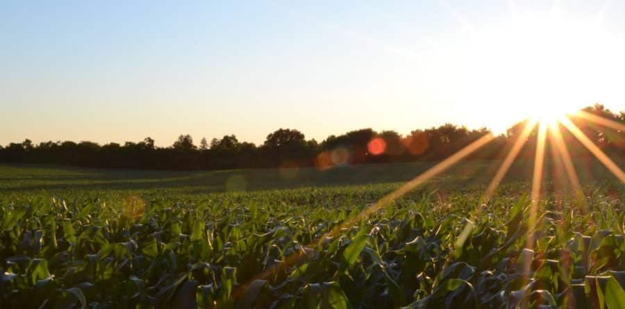 Farmers evening hosted by Lovewell Blake