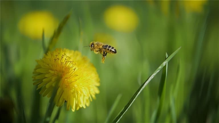 Event: Lovewell Blake’s evening focusing on UK agriculture 28th November