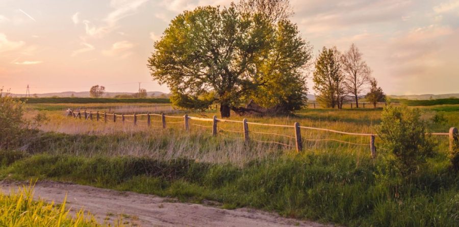 Calor offers £85,000 worth of grants to rural communities
