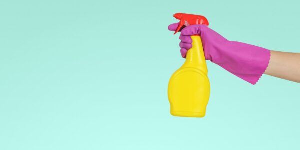 Jeshoots Com ZMnefoI3k Unsplash