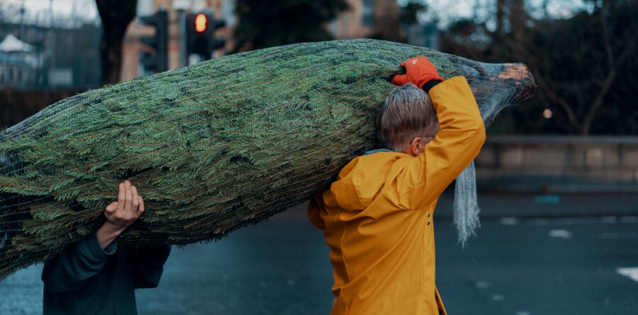 Our Norfolk recycling scheme is a tree-mendous way to support EACH this Christmas