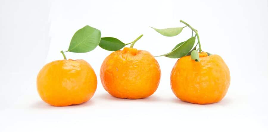 Could you be catastrophically deficient in vitamin C?