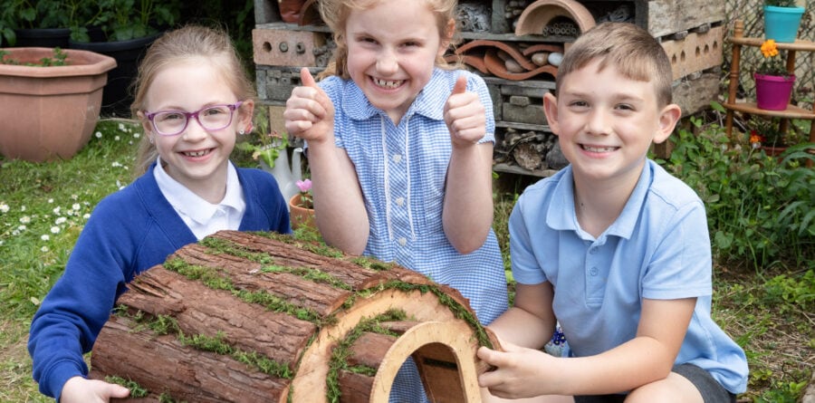 Norwich School receives hedgehog home from housebuilder to help prickly pursuit