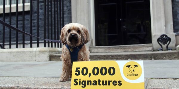 THE DOG TRUST HAND IN A LETTER TO 10 DOWNING STREET SEEN HERE IS WAFFLE THE DOG PAWING IN A LETTER TO THE PRIME MINISTER RISHI SUNAK ALSO SEEN HERE PAULA BOYDEN VETERINARY DIRECTOR DOGS TRUST